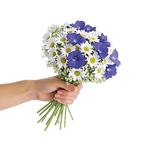 Dewy Morning Blossoms