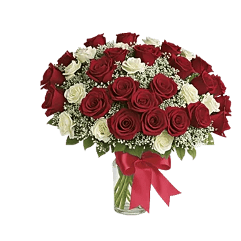 Crimson Rose Elegance