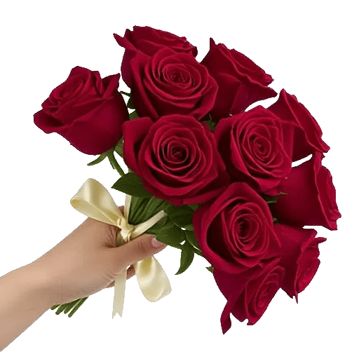 Crimson Rose Elegance