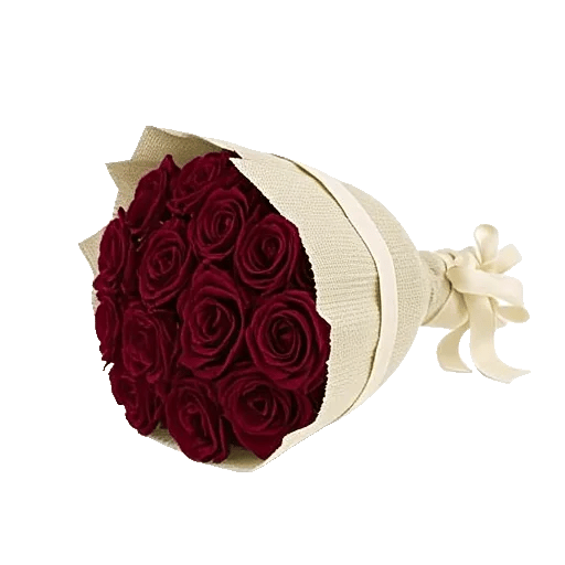 Crimson Rose Elegance