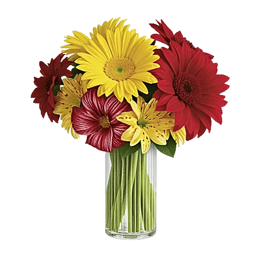 Petal Radiance Bliss