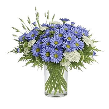 Fresh Meadow Blooms
