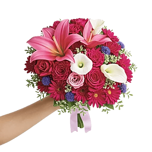 Blushing Rose Symphony