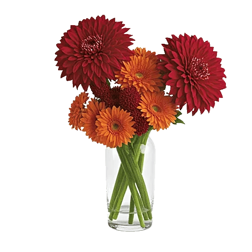 Crimson Blossom Harmony