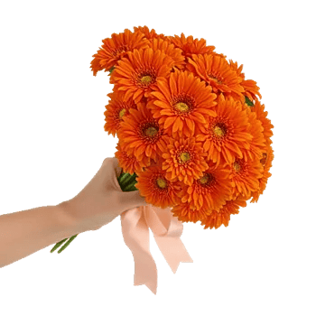 Petal Harmony Bliss