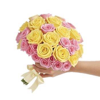 Blushing Rose Symphony