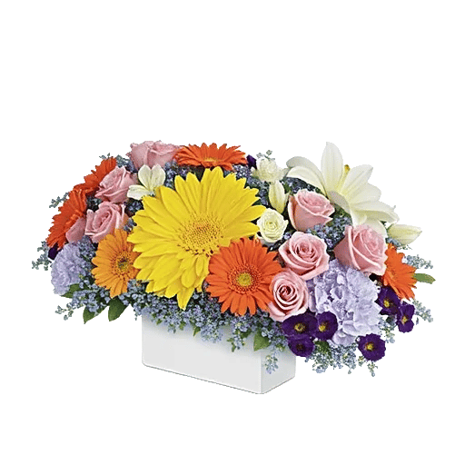 Golden Petal Harmony