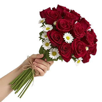 Crimson Rose Elegance