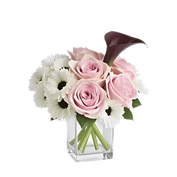 Graceful Lily Display