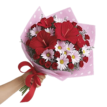 Crimson Rose Elegance