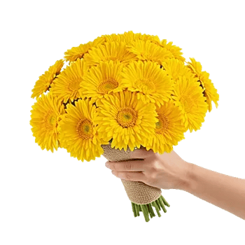 Golden Petal Harmony