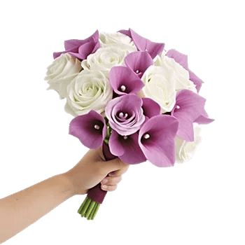 Elegant Calla Lilies