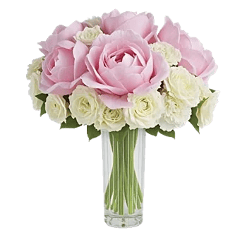 Petal Radiance Bliss