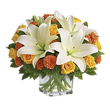 Graceful Lily Display