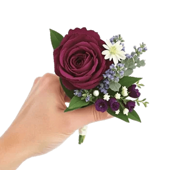 Plum Blossom Radiance