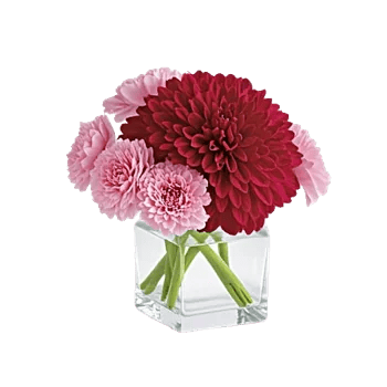 Crimson Blossom Harmony