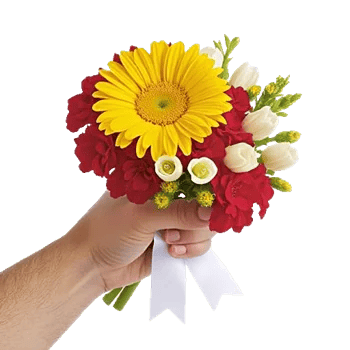 Enchanting Daisy Garden