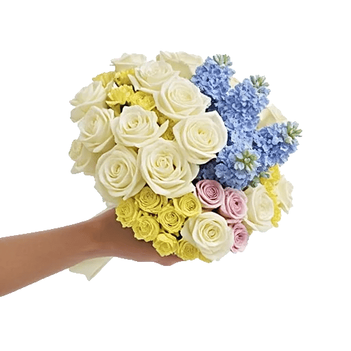 Blossom Petal Serenity