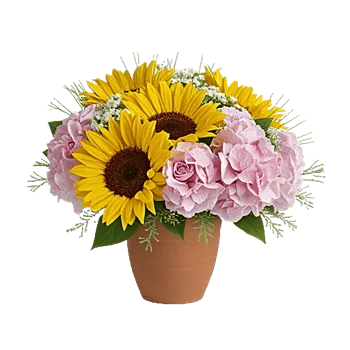 Amber Sunflower Glow