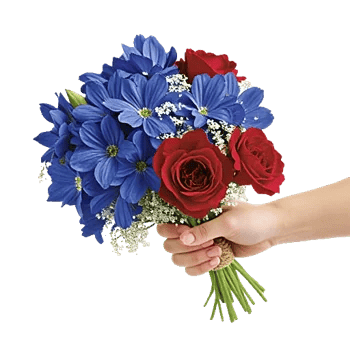 Sapphire Bloom Whisper