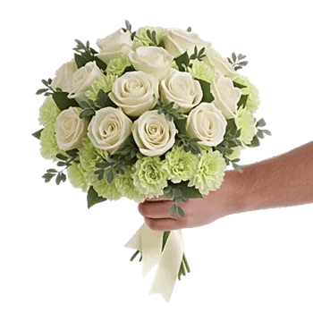 Ivory Garden Grace