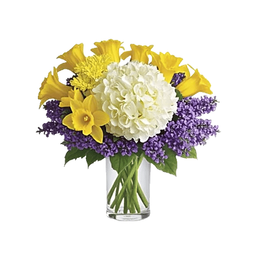 Ivory Blossom Radiance