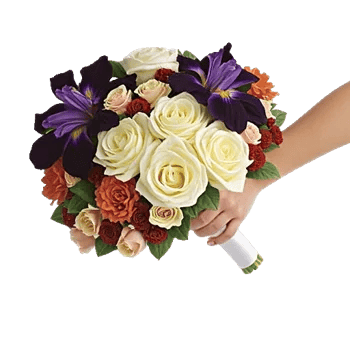 Blushing Rose Symphony