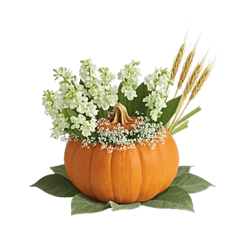 Blush Romantic Centerpiece