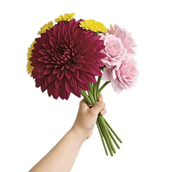 Crimson Blossom Harmony