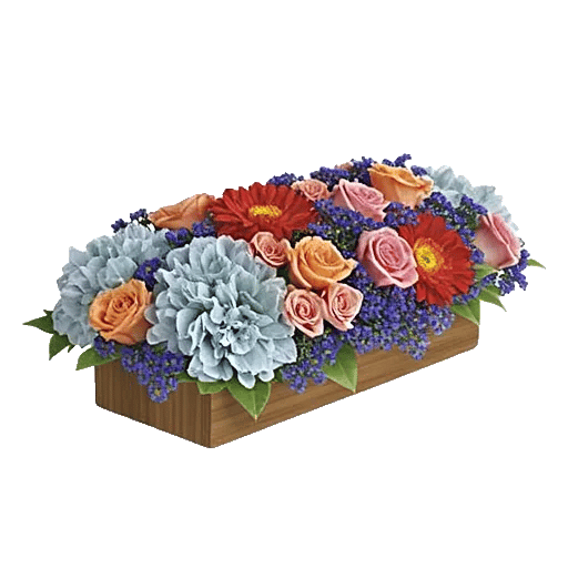 Delicate Petal Cascade