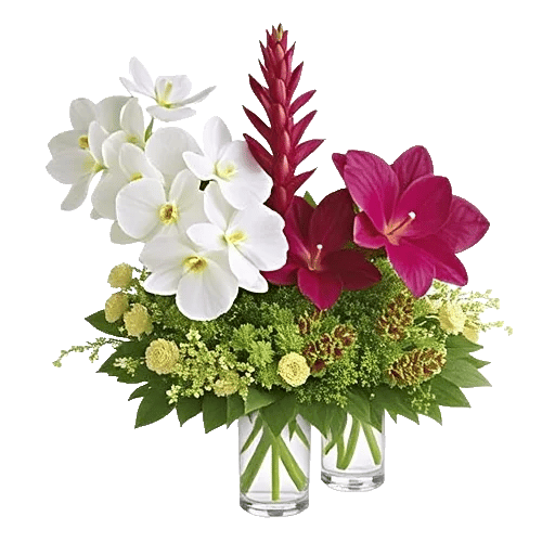 Serenity Orchid Bloom