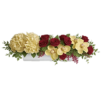 Orchid Bloom Cascade