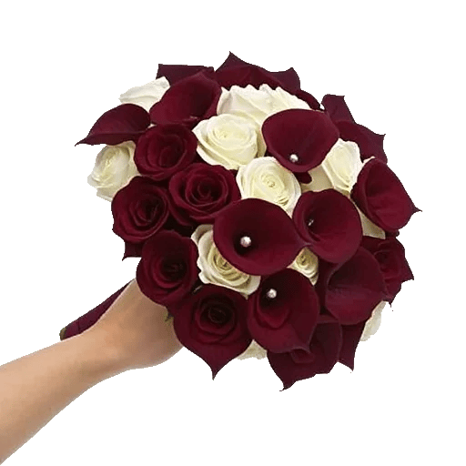 Blushing Rose Symphony