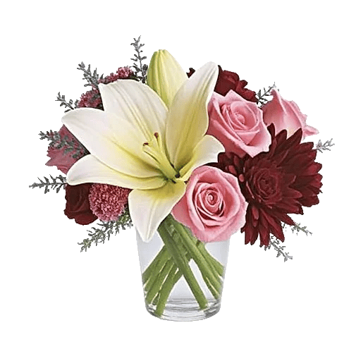 Plum Blossom Radiance