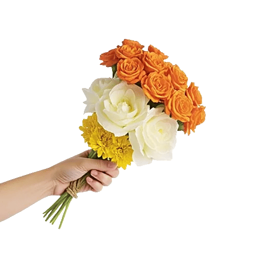 Petal Radiance Bliss