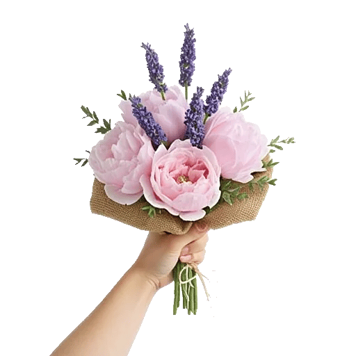 Peony Petal Harmony