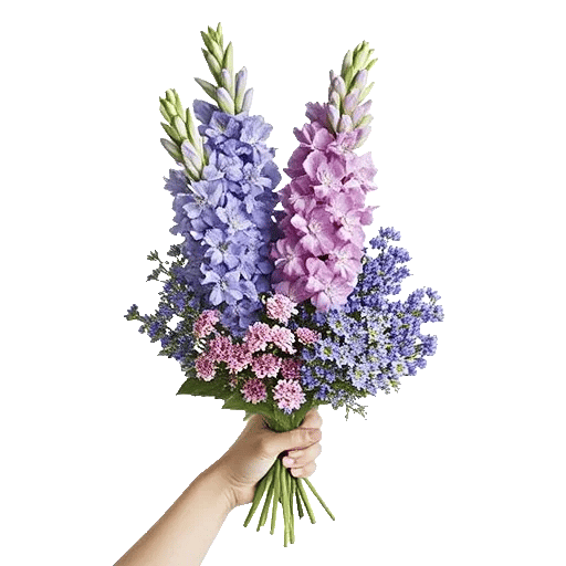 Blossom Petal Serenity