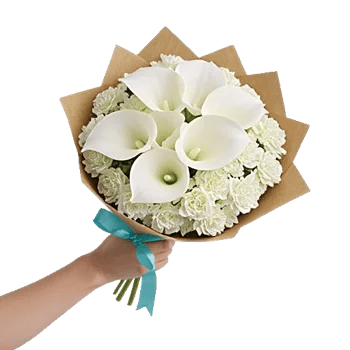 Elegant Calla Lilies