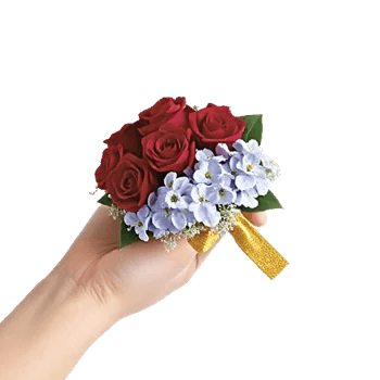 Crimson Rose Elegance