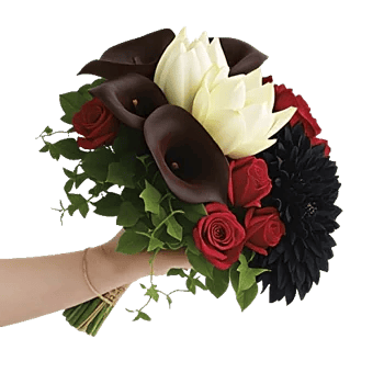 Elegant Calla Lilies