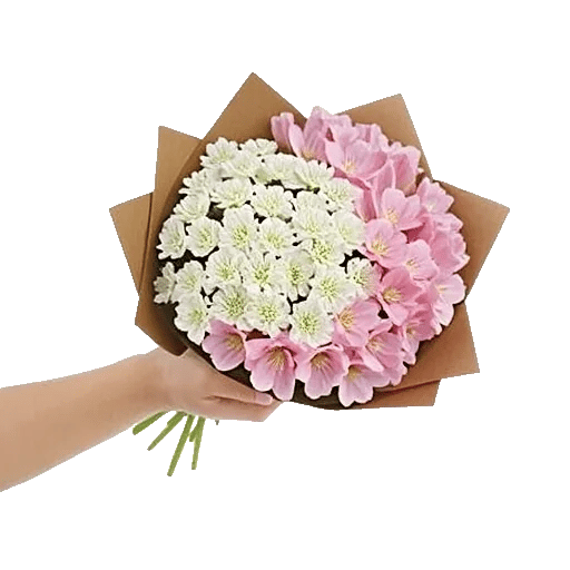 Pink Pastel Roses