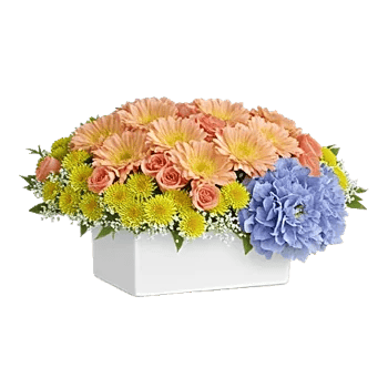 Delicate Petal Cascade