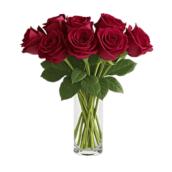Crimson Rose Elegance