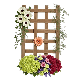 Ivory Blossom Radiance