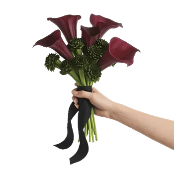 Elegant Calla Lilies