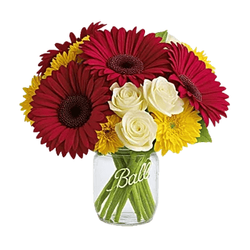 Petal Radiance Bliss