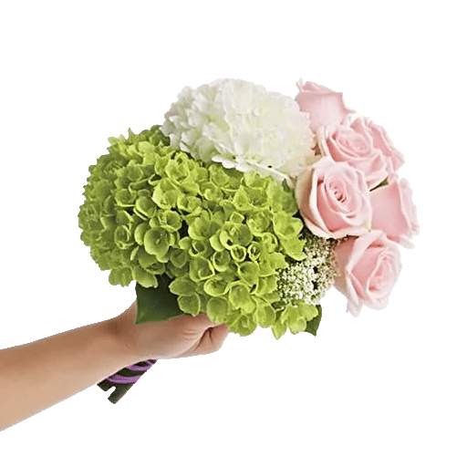 Serene Petal Harmony