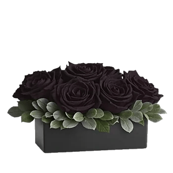 Gothic Dark Roses