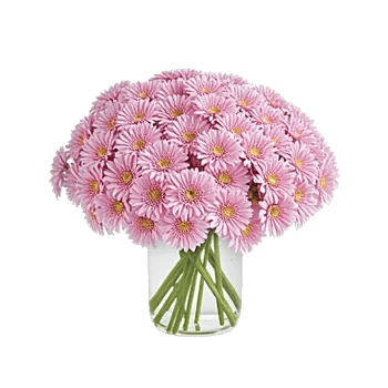 Pink Pastel Roses
