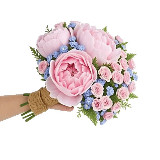 Peony Petal Harmony